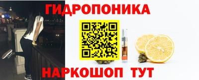 ECSTASY Канаш