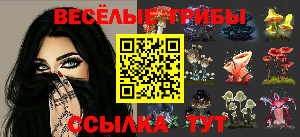 Псилоцибиновые грибы Psilocybe Бутурлиновка